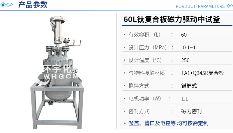 60L钛复合板中试反应釜